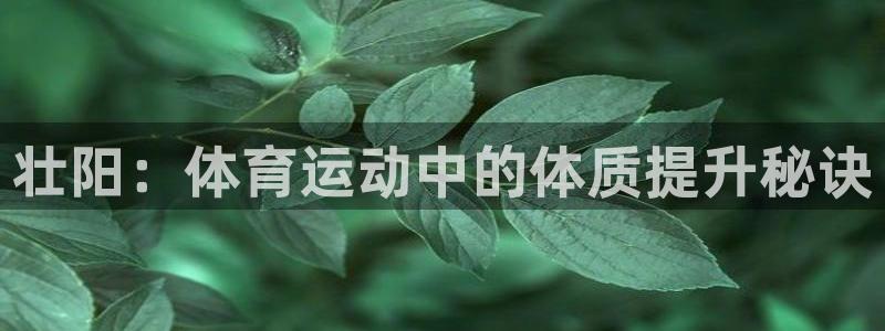 熊猫体育网站：壮阳：体育运动中的体质提升秘诀