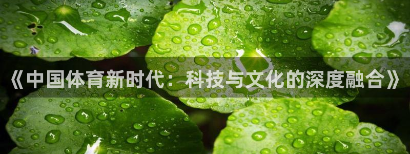 熊猫体育官网首页入口：《中国体育新时代：科技与文化的深度融合》