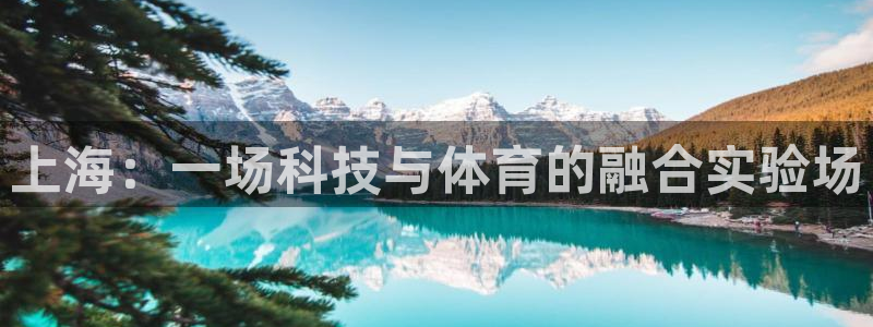 熊猫体育直播：上海：一场科技与体育的融合实验场