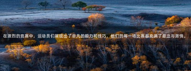 中山熊猫体育：在激烈的竞赛中，运动员们展现出了非凡的毅力和技巧，他们的每一场比赛都充满了悬念与激情。