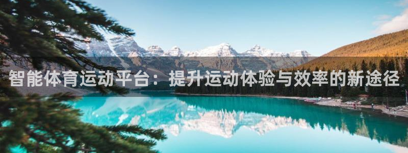熊猫体育怎么样：智能体育运动平台：提升运动体验与效率的新途径