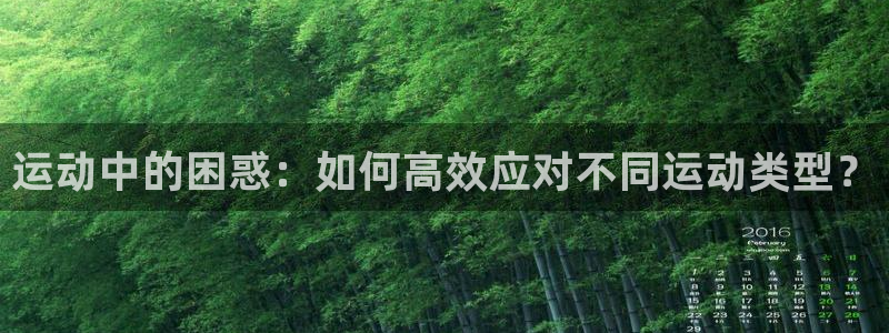 成都金熊猫体育：运动中的困惑：如何高效应对不同运动类型？